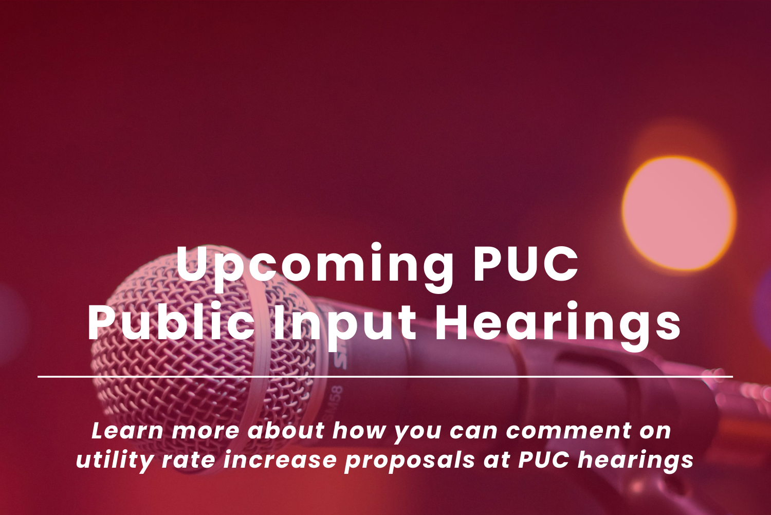 PUC Input Heariing Website Red1a